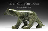 Loup 17" de Kelly Etidloie *Tyson*