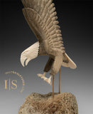18" Majestic Eagle by Harrison Miklahook Jr. *Strike*