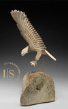 18" Majestic Eagle by Harrison Miklahook Jr. *Strike*