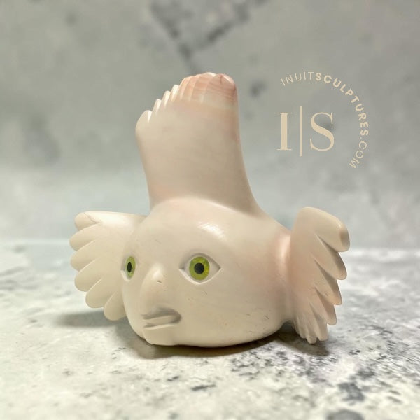 CURATOR'S CHOICE 16" SIGNATURE Owl by Toonoo Sharky *Peony, Pretty in Pink*