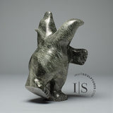 Ours dansant de 38 cm (15 pouces) par Noah Parr *Ballroom Blitz*