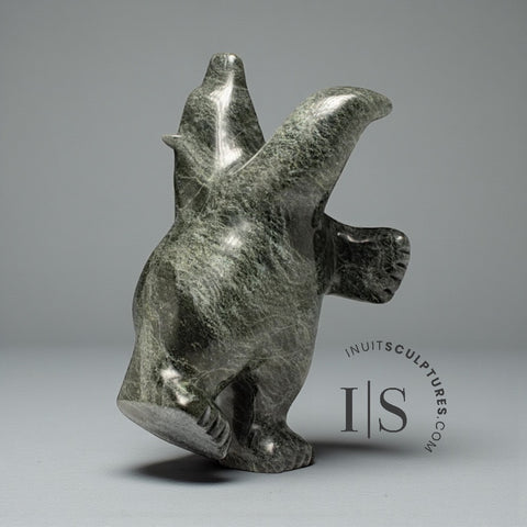 Ours dansant de 38 cm (15 pouces) par Noah Parr *Ballroom Blitz*