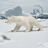 Ours polaire en marche de 35,5 cm (14 pouces) par Paul Malliki *Walkabout*