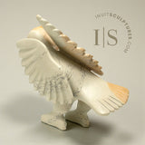 SIGNATURE 14" Oie dansante par Toonoo Sharky *Remerciements*