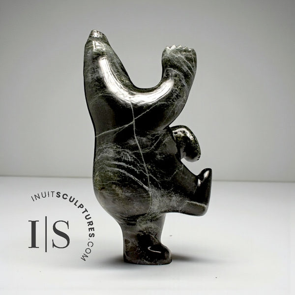 Ours dansant 18" par Etulu Adla *Deep Water*