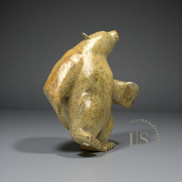 12" Dancing Bear by Killiktee Killiktee *Humphrey*