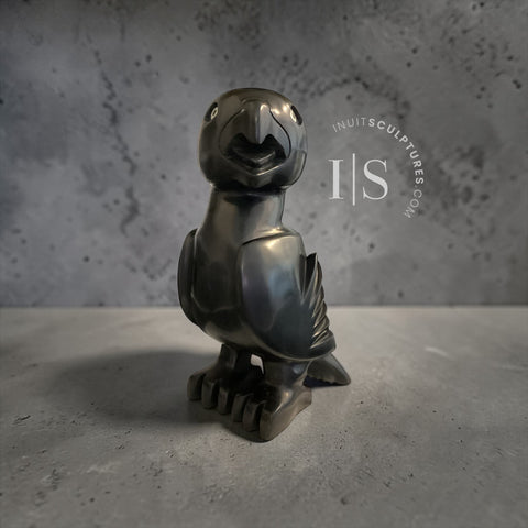 11" Owl by Toonoo Sharky *Cole*