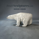 34" Walking Bear by Moe Kolola *Salt & Pepper*