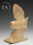 Oie lissante 10" par Kelly Etidloie *Prenez une pose*