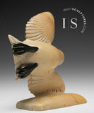 Oie lissante 10" par Kelly Etidloie *Prenez une pose*