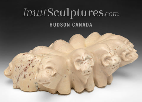 Cercle Muskox SIGNATURE 13" par Jonasie Faber *Le pouvoir de l'un*