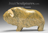 Bœuf musqué VINTAGE 9" par Seepee Ipeeli *Goldie*