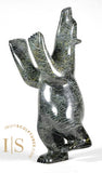 Ours dansant de 14 pouces par Ulaigi Adla *Pearl*