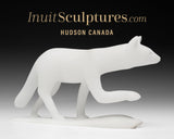 Renard arctique 14" par Kuzy Curley *Snoop*
