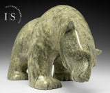 Ours marchant SIGNATURE 21" par Ashevak Adla *Moving Mountains* CHOIX DU CONSERVATEUR