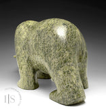 Ours marchant SIGNATURE 21" par Ashevak Adla *Moving Mountains* CHOIX DU CONSERVATEUR