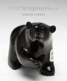 Ours qui marche 4" par David Shaa *Bryson*