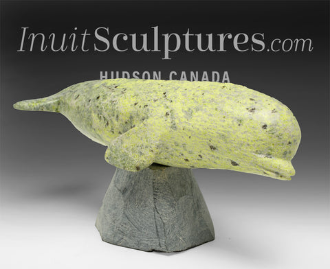 Baleine béluga de 25 cm par Ooloopie Killiktee *Sifflet*