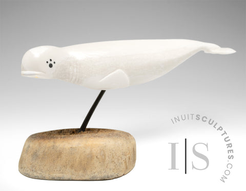Baleine béluga de 25 cm par Harrison Miklahook Jr *Beluga Ballet*