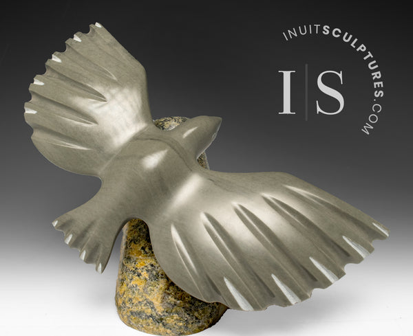 Oiseau volant de 10 pouces par Kootoo Korgak *Service en vol*