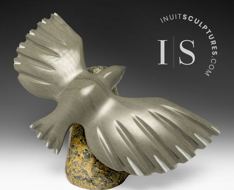 Oiseau volant de 10 pouces par Kootoo Korgak *Service en vol*
