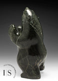 10" Dancing Bear by David Shaa *Coffee Run*