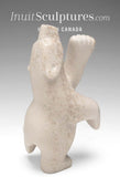 Ours dansant 6" par Adamie Mathewsie *Taches de rousseur*