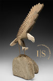 18" Majestic Eagle by Harrison Miklahook Jr. *Strike*