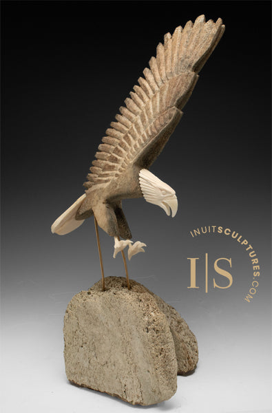 18" Majestic Eagle by Harrison Miklahook Jr. *Strike*