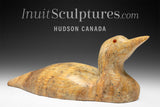 13" SIGNATURE Loon par Bill Nasogaluak *Tangerine*