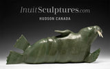 14" SIGNATURE Walrus by  Jimmy Iqaluq “Majestic Walrus”