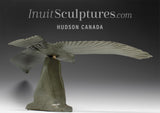 20" Hawk by Joe Sala *Stealth Fighter*