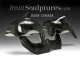 13” SIGNATURE Orcas by Johnnysa Mathewsie *Partners*