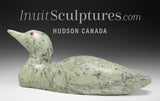 10" SIGNATURE Loon by Lyle Nasogaluak *Algae*