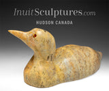 13" SIGNATURE Loon par Bill Nasogaluak *Tangerine*