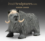 Muskox SIGNATURE 7" par Lucassie Ikkidluak *Les jours caniculaires de l'été* À PORTÉE DE MAIN$$