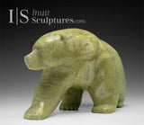 11" Walking Bear by Moe Kolola *On High Alert*