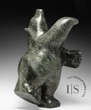 Ours dansant de 38 cm (15 pouces) par Noah Parr *Ballroom Blitz*