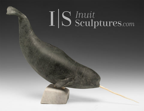 Narval de calibre musée 12 pouces par Paul Malliki *Submariner*