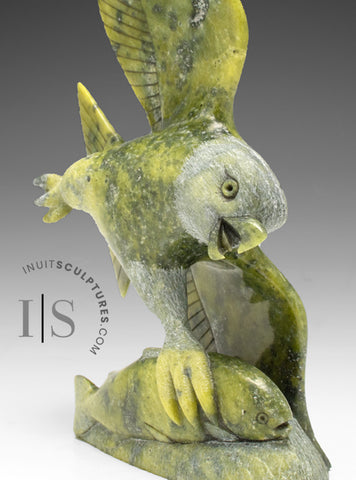 Aigle de 20 cm avec poisson par Pits Qimirpik *Drone*