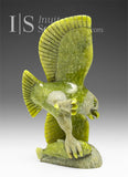 Aigle SIGNATURE 6" avec poisson par Pits Qimirpik *Drone*