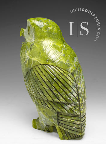 8" SIGNATURE Owl par le regretté Pits Qimirpik *Irish Eyes*