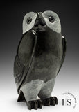 Chouette SIGNATURE 10" par Pits Qimirpik *Clooney* CHOIX DU CONSERVATEUR