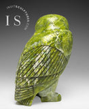 8" SIGNATURE Owl par le regretté Pits Qimirpik *Irish Eyes*