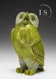 Hibou SIGNATURE 6" par les Late Pits Qimirpik *Shrek* DERNIER HIBOU 6"