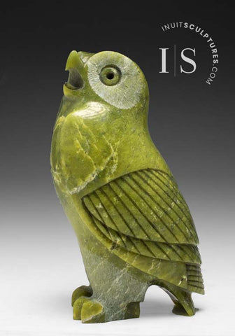Hibou SIGNATURE 6" par les Late Pits Qimirpik *Shrek* DERNIER HIBOU 6"