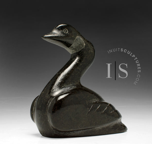 6" Canada Goose by Luke Kolola *Good For The Goose*