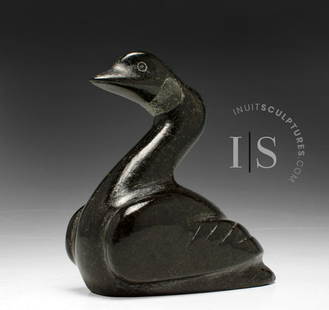 6" Canada Goose by Luke Kolola *Good For The Goose*