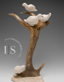 12" Ptarmigans (Birds) in a Tree by Peter K. *A Stop Along The Way*