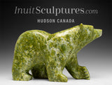 BIG PERSONALITY 12" Walking Bear by Samayualie Akesuk "Myles To Go"